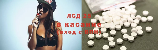 крисы Абаза