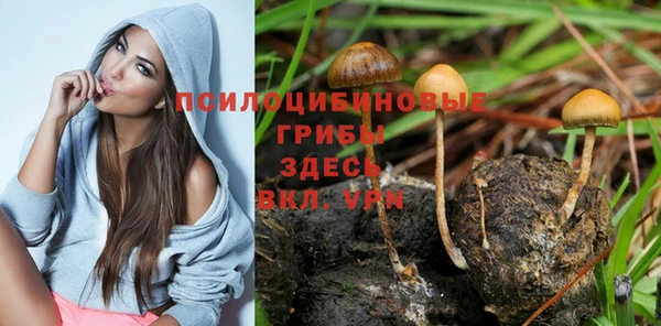 шишки Абдулино
