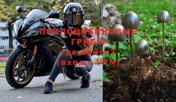шишки Абдулино