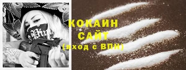 крисы Абаза
